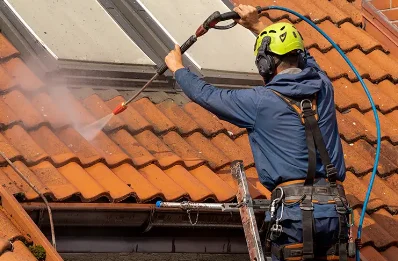 Démoussage et hydrofuge de toiture à Sainte-Marie-de-Gosse